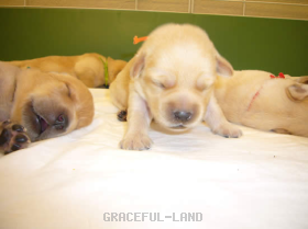 う~ん、まだ眠いよ~